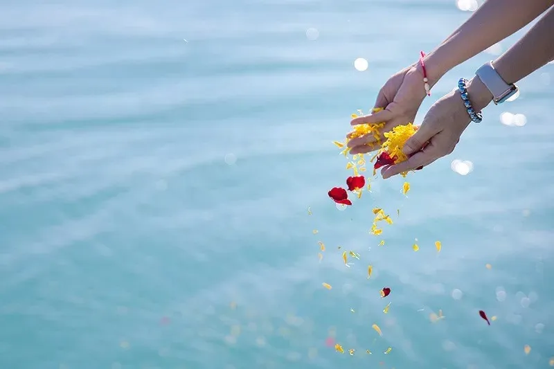 茨城県の海で静かに送る最期の旅：海洋散骨の魅力