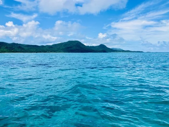 海洋散骨の費用を徹底解説：心の安らぎとともに送り出す旅路