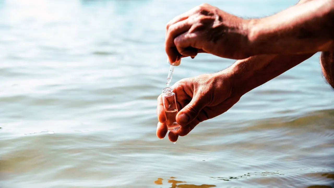 海洋散骨と水質: 自然との調和を考える