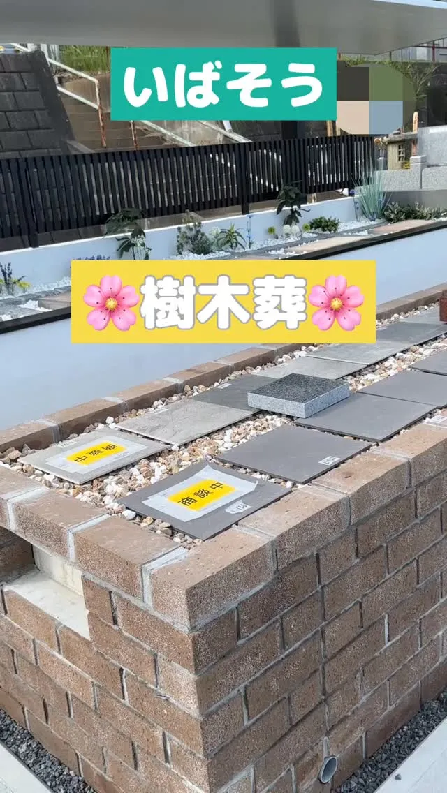 いばそうの樹木葬、中央浄苑がグランドオープンします♪